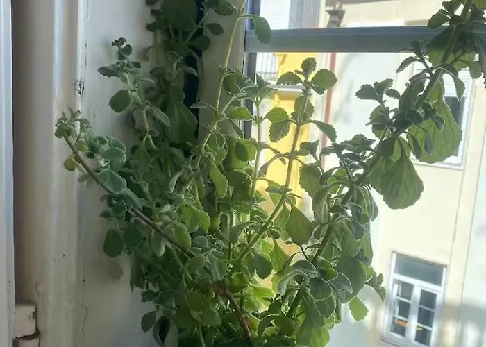 Amazing Viwe Διαμέρισμα *