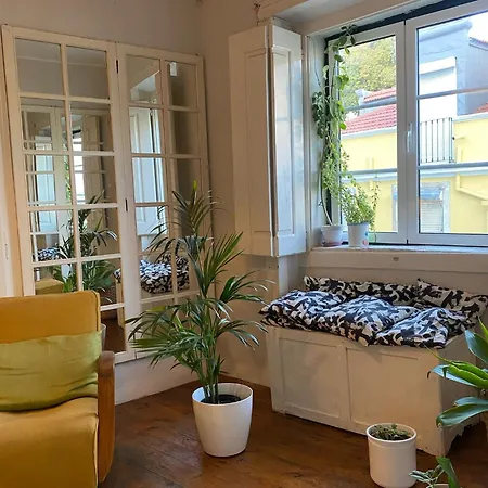 شقة Amazing Viwe Lisboa
